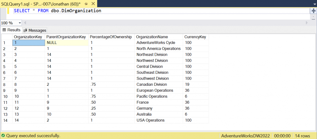 dbo.DimOrganization table default contents