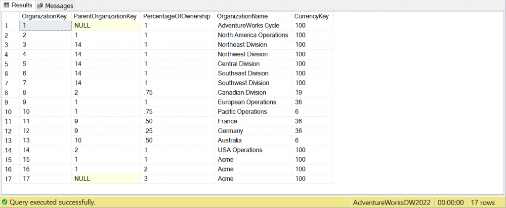 dbo.DimOrganization table with duplicates